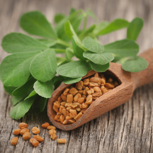 Fenugreek