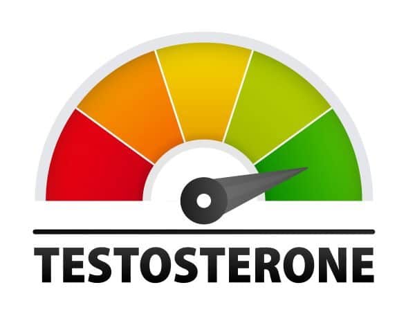 About Testosterone Supplementation For Men