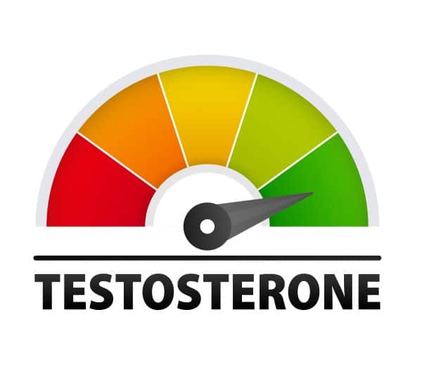 About Testosterone Supplementation For Men