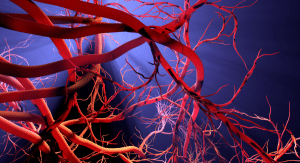 blood vessel formation