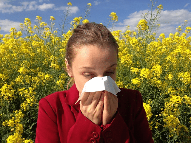 How to Treat Seasonal Allergies